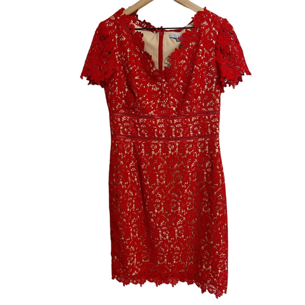 Antonio Melani Red Lace Dress Size 6 NWT